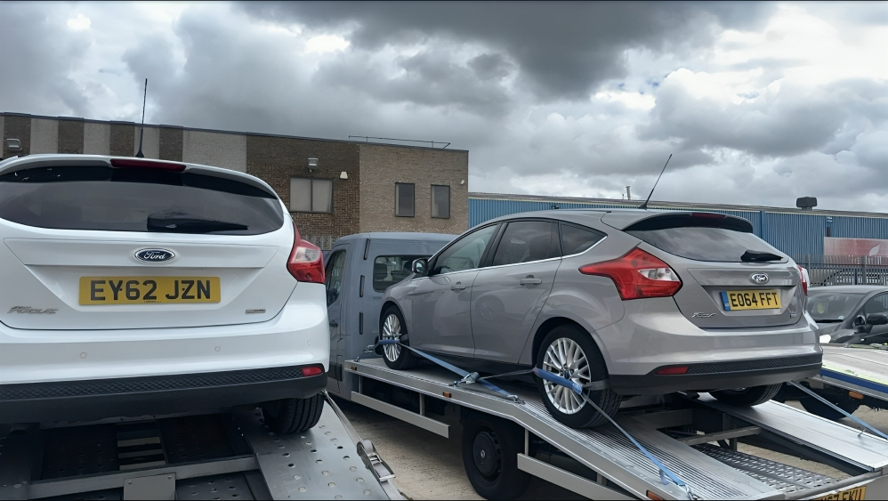 WhatsApp Image 2025-10-07 at 01.44.49_f591ebb0 WhatsApp Image 2025-10-07 at 01.44.49_f591ebb0